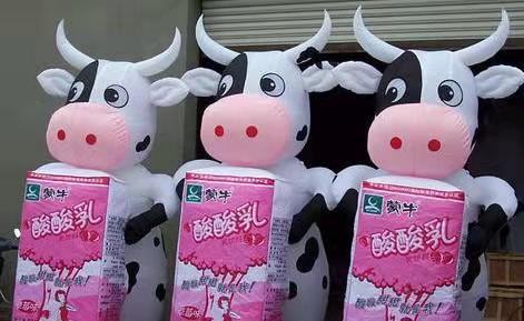 文峰牛奶包装广告气模